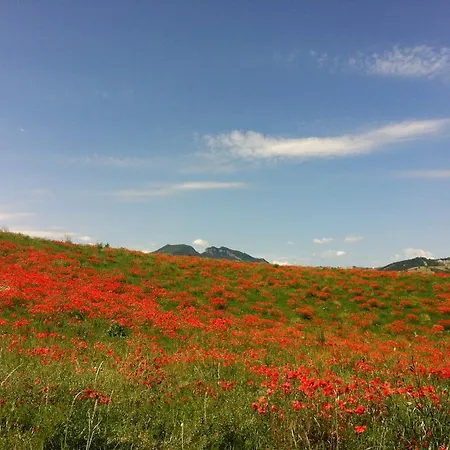 Bed & Breakfast Corte Del Sasso - And Breakfast *