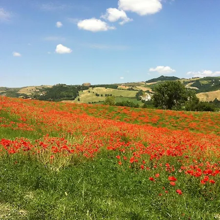 Bed & Breakfast Corte Del Sasso - And Breakfast Novafeltria